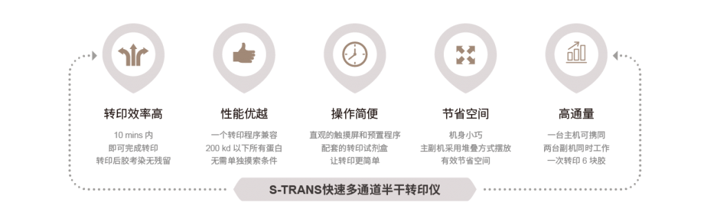 S-TRANS 快速多通道半干轉(zhuǎn)印儀插圖